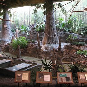 The Swamp - Egret Pond Exhibit