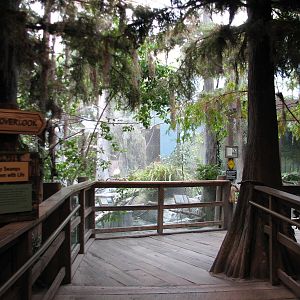 The Swamp - Exhibit Path