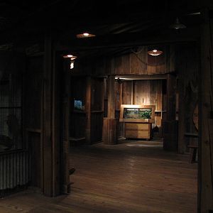 The Swamp - Old Sawmill Interior