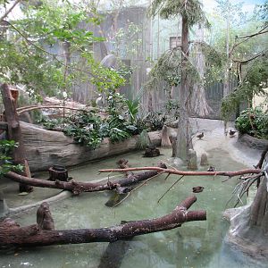 The Swamp - Mixed-species Bird Exhibit