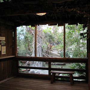 The Swamp - Mixed-species Bird Exhibit Viewing Area