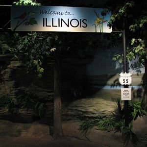 The Swamp - Illinois Entry