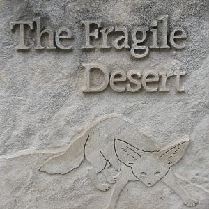 The Fragile Desert - Sign