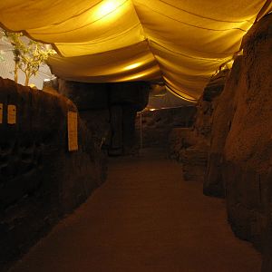 The Fragile Desert - Naked Mole Rat Exhibit Viewing Area