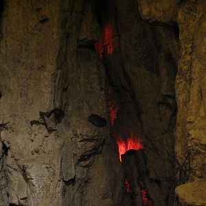The Fragile Desert - Rock Hyrax Exhibit