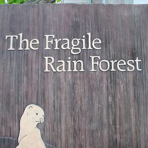 The Fragile Rain Forest - Sign
