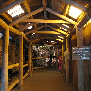 The Fragile Rain Forest - Entry