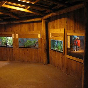 The Fragile Rain Forest - Terrariums