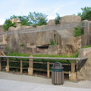 The Fragile Hunters - Amur Leopard Exhibit