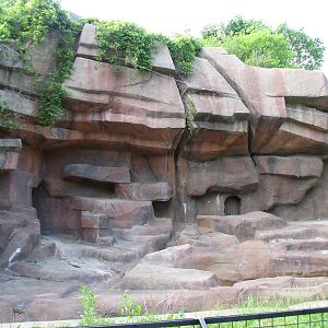 Former Bear Grotto 5