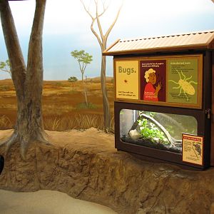 Australia - Entry and Whites Tree Frog Exhibit