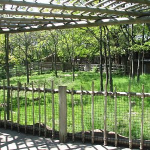 Australia - Western Gray Kangaroo and Emu Exhibit