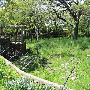 Australia - Western Gray Kangaroo and Emu Exhibit