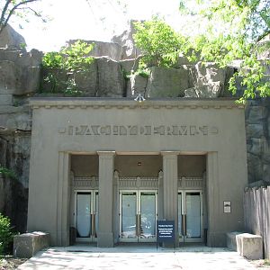Pachyderms - Exterior