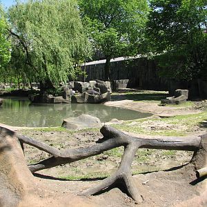 Pachyderms - Hippo Exhibit