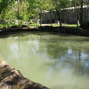 Pachyderms - Hippo Exhibit