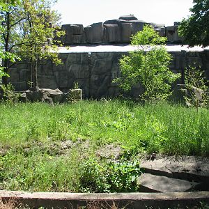 Pachyderms - Empty Exhibit