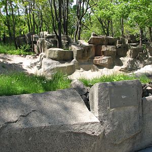 Pachyderms - Empty Exhibit