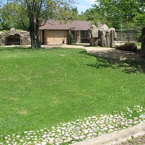 Hoofed Animals - Bactrian Camel Exhibit 2