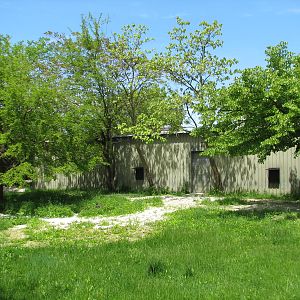 Hoofed Animals - Addax Exhibit 2