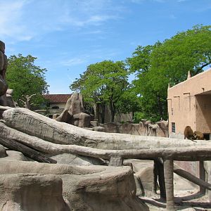 Baboon Island