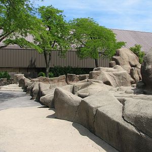 Baboon Island - Viewing Area