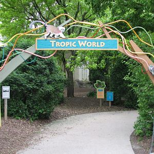Tropic World - Entry Path