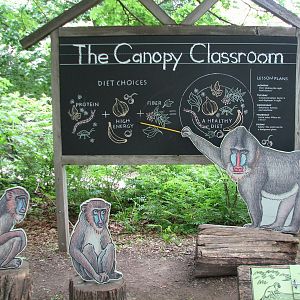 Tropic World - Entry Path