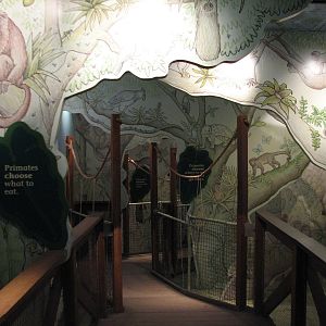 Tropic World - Entry Foyer