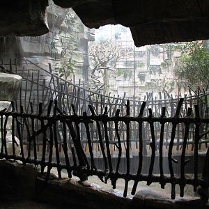 Tropic World - South America - Entry