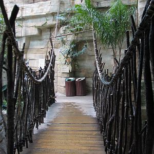 Tropic World - South America - Entry