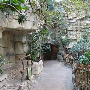 Tropic World - South America - Viewing Area