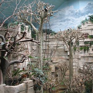 Tropic World - South America - Main Exhibit