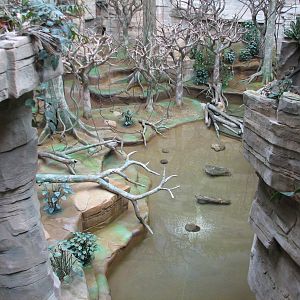 Tropic World - South America - Main Exhibit