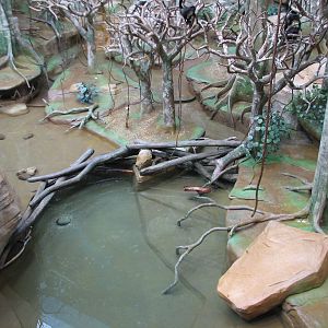 Tropic World - South America - Main Exhibit