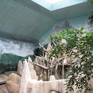 Tropic World - Asia - Skylight