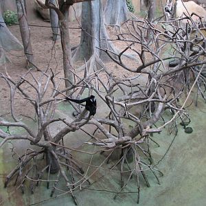 Tropic World - Asia - Main Exhibit