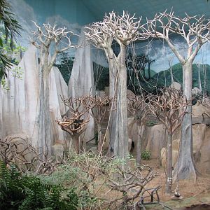 Tropic World - Asia - Main Exhibit