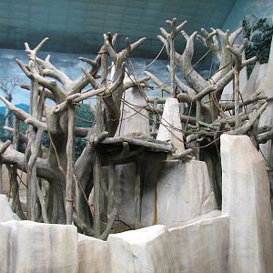 Tropic World - Asia - Orangutan Exhibit