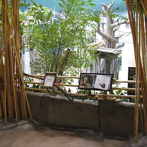 Tropic World - Asia - Viewing Area