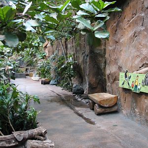 Tropic World - Africa - Viewing Area