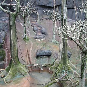 Tropic World - Africa - Main Exhibit