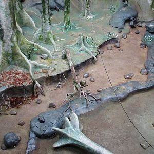 Tropic World - Africa - Main Exhibit