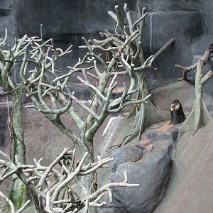 Tropic World - Africa - Main Exhibit