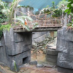 Tropic World - Africa - Viewing Bridge