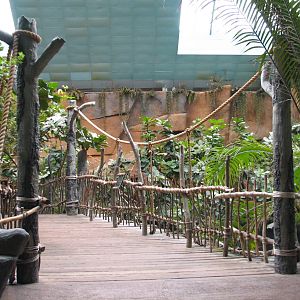 Tropic World - Africa - Viewing Bridge