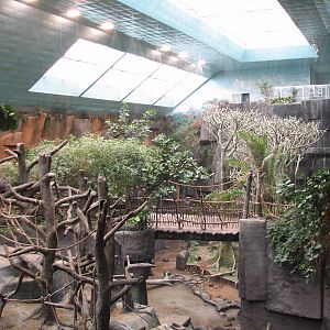 Tropic World - Africa - Skylight and Simulated Thunderstorm