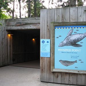 Pinniped Point - Sign