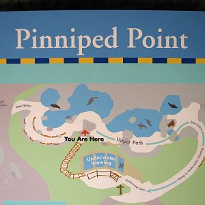 Pinniped Point - Map