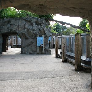Pinniped Point - Exhibit Path